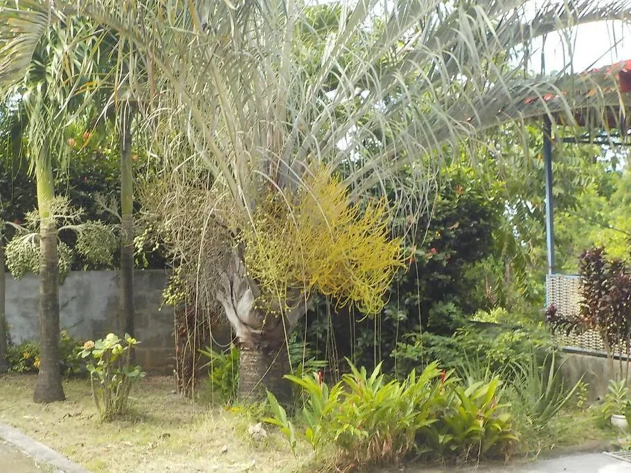 Appartement Tropical Garden Bouillante